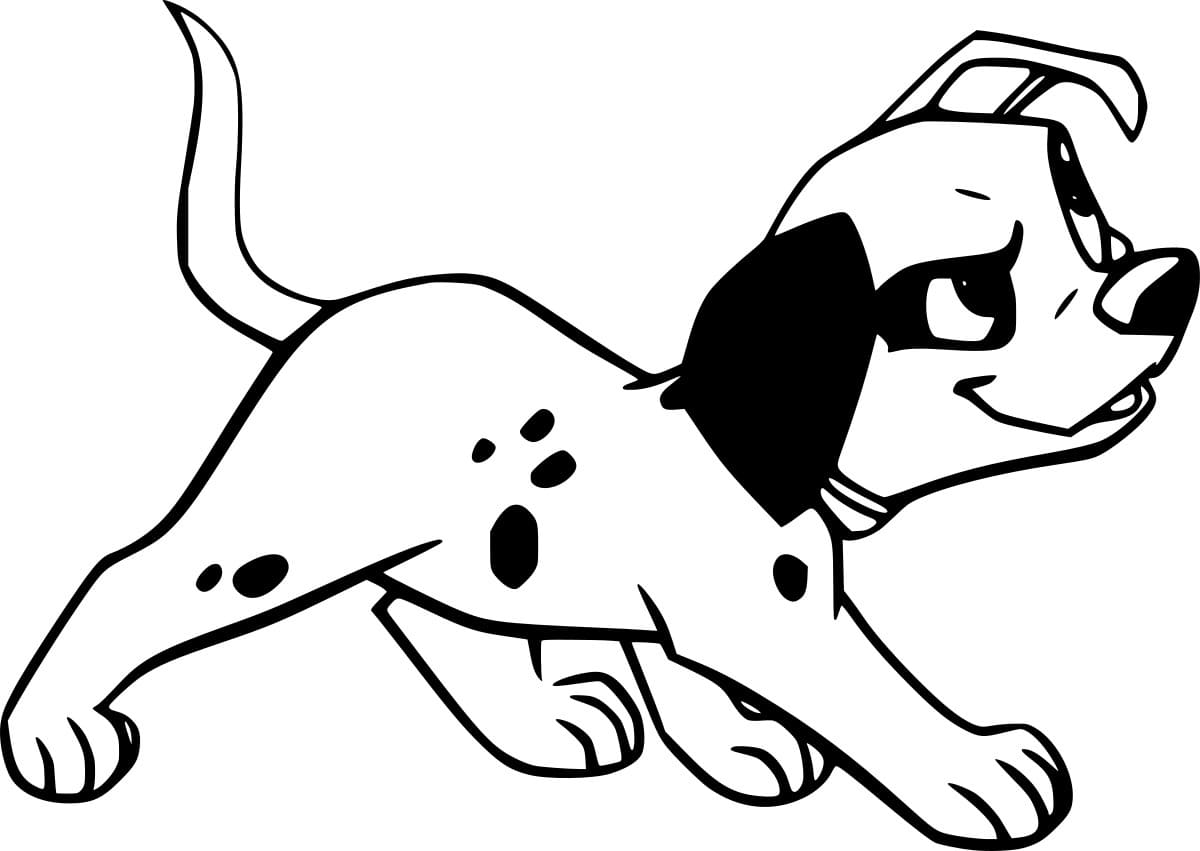 بيني دالماتيانحر تلوين