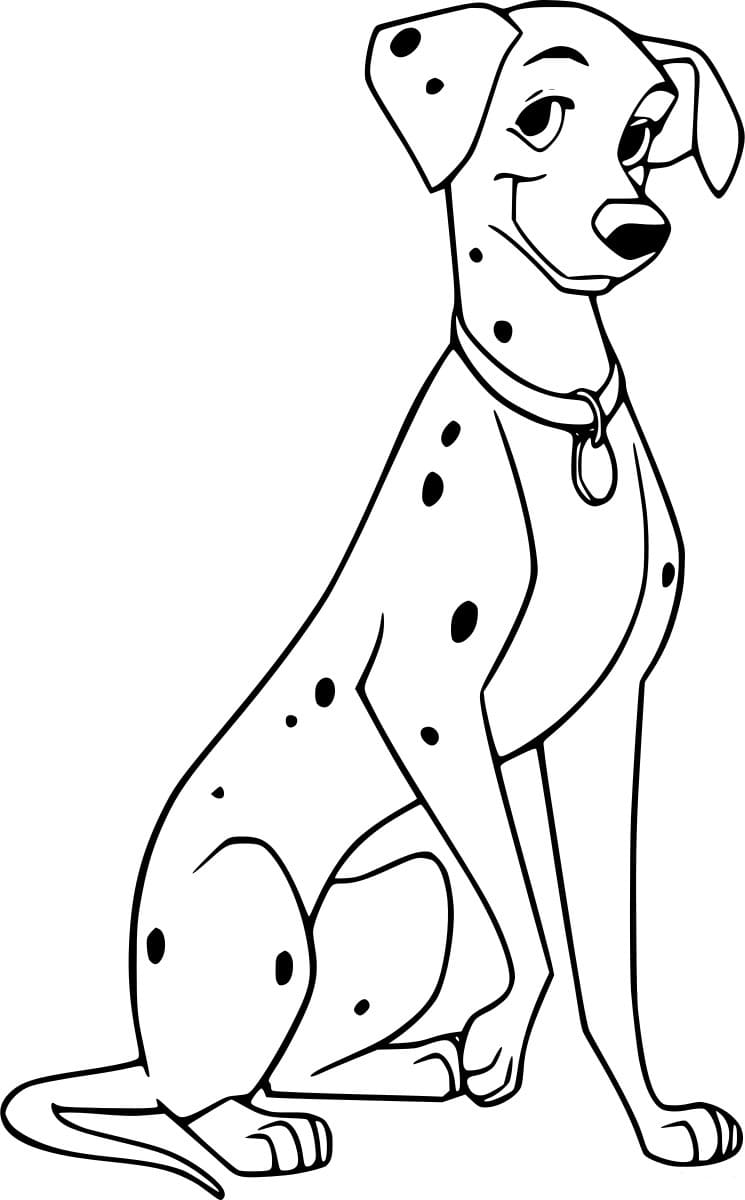 بيرديتا دالماتيان تلوين