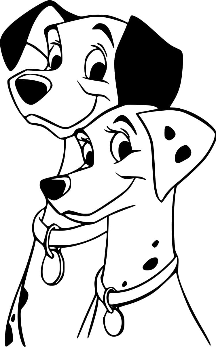 بونغو وبرديتا تلوين