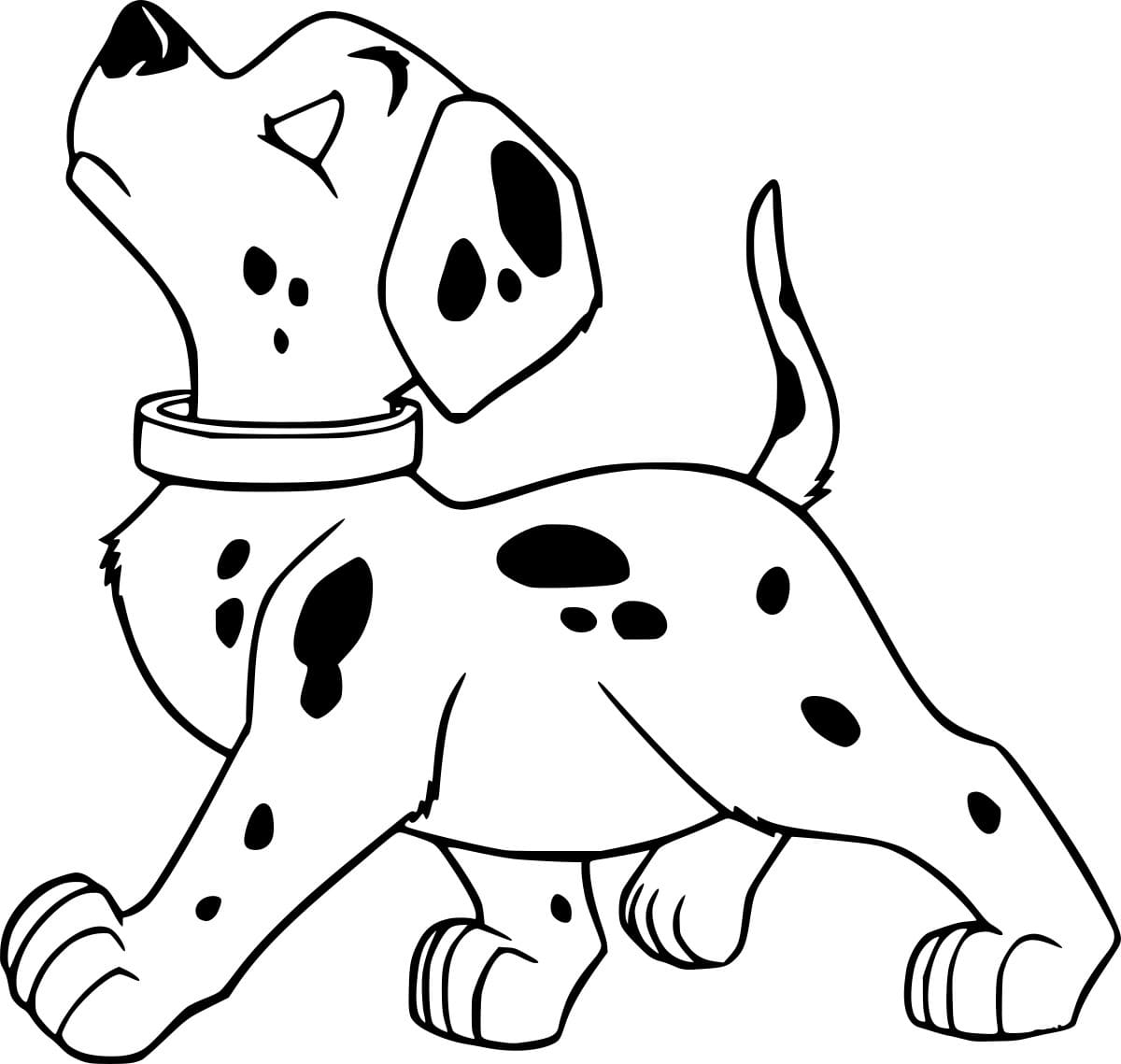 دالماتيا تمشي بفخر تلوين