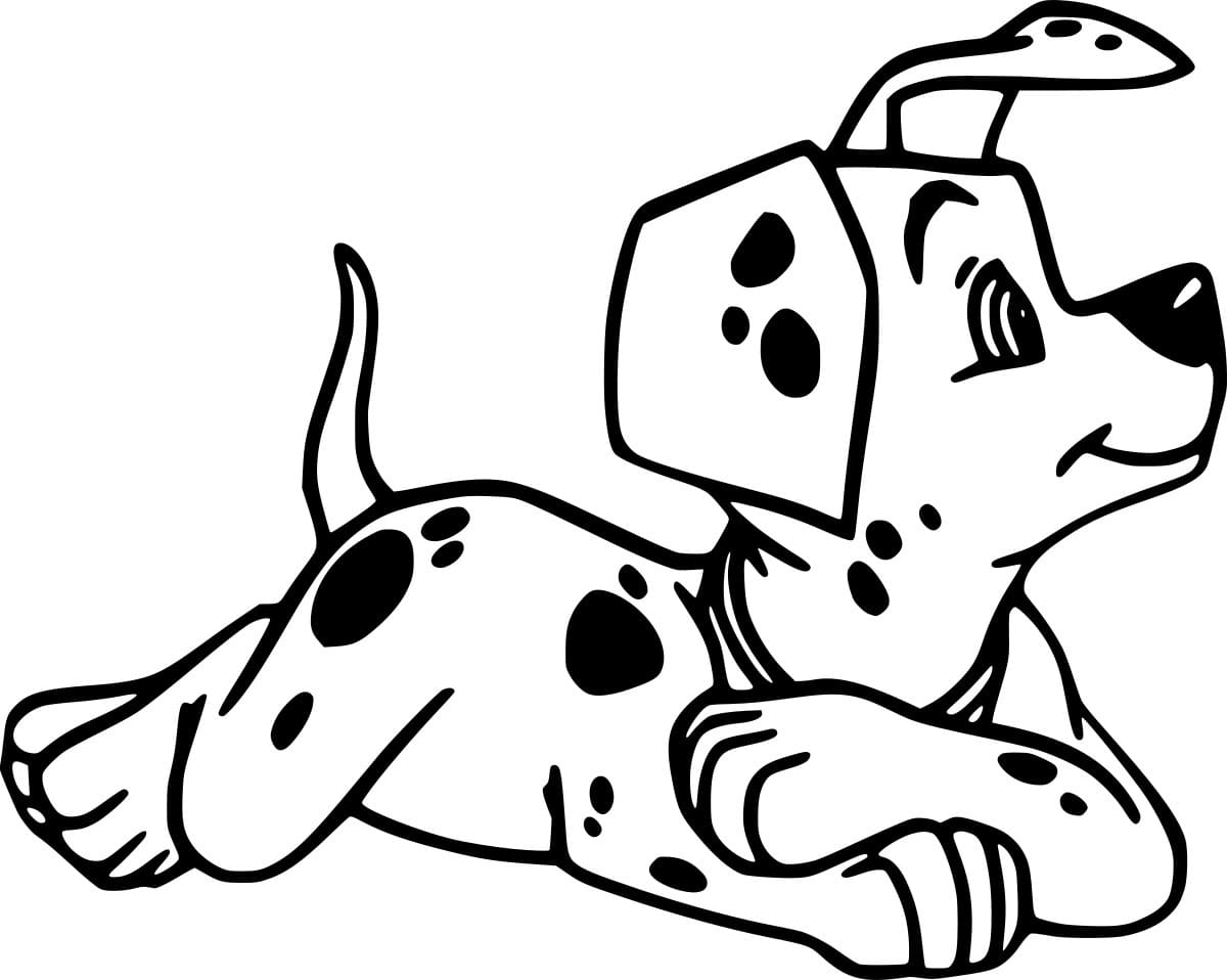 دالماتيان على الأرض تلوين