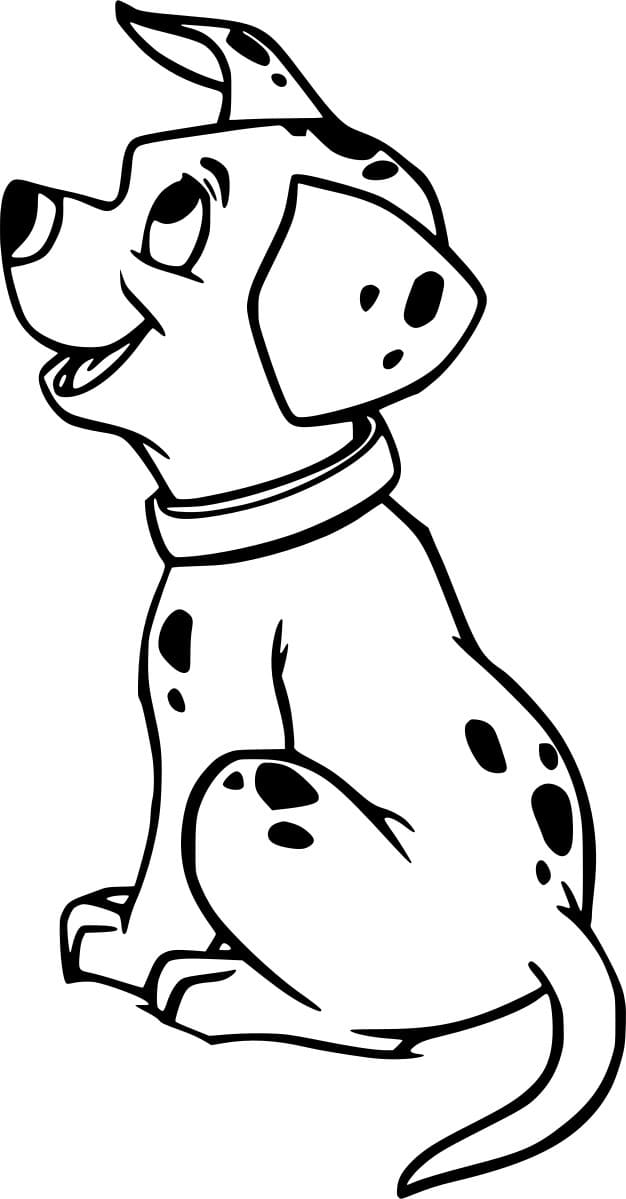 دالماتيان سعيد تلوين