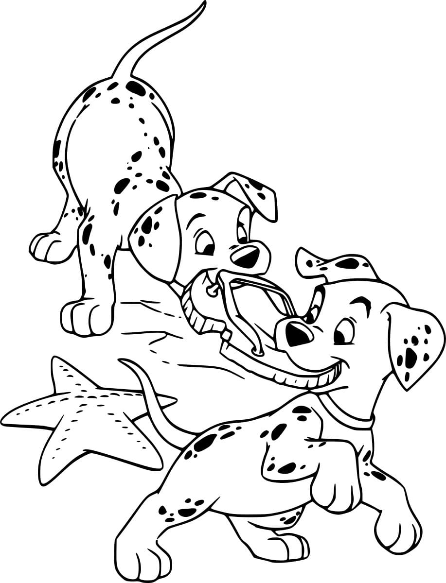 دالماتيان ونجم البحر تلوين