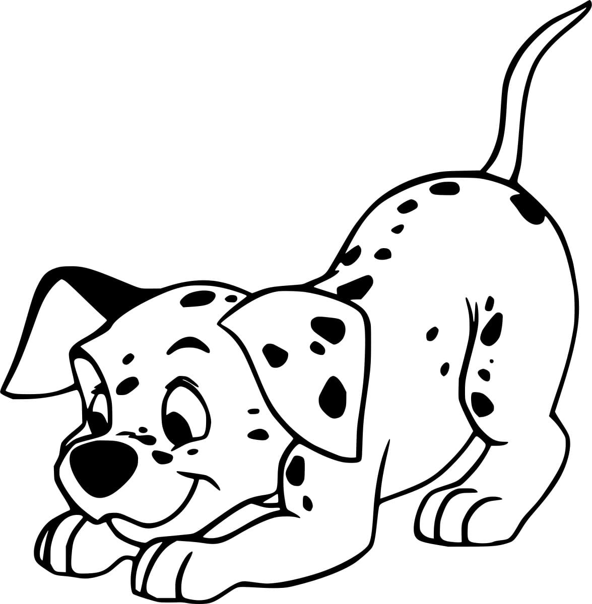 دالماتيان ينزل تلوين