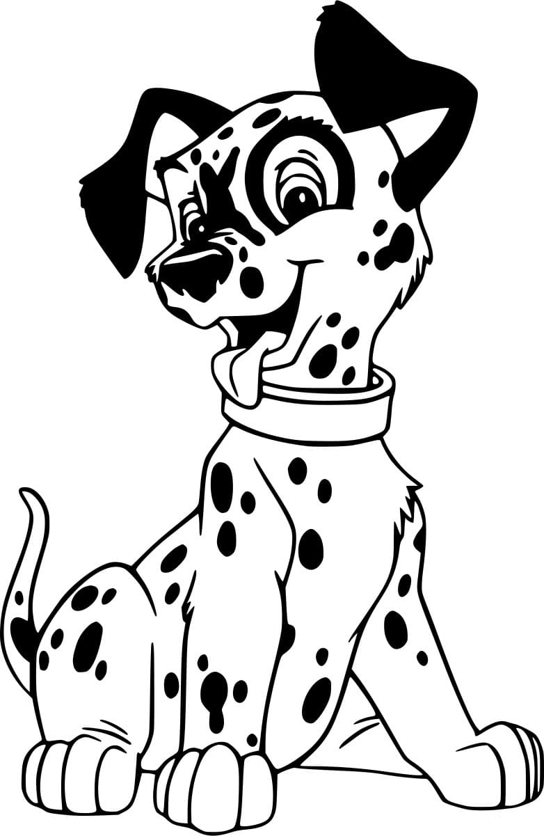 دلماسي ذو طوق تلوين