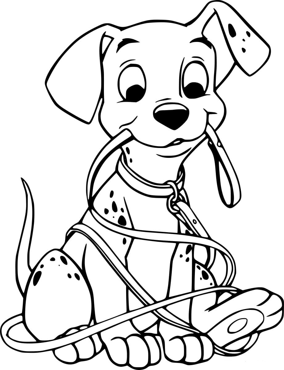 دلماسي مع حبل تلوين