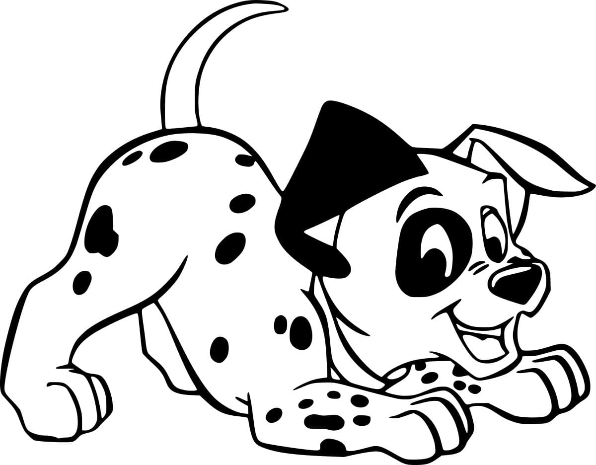 هابي باتش دالماتيان تلوين