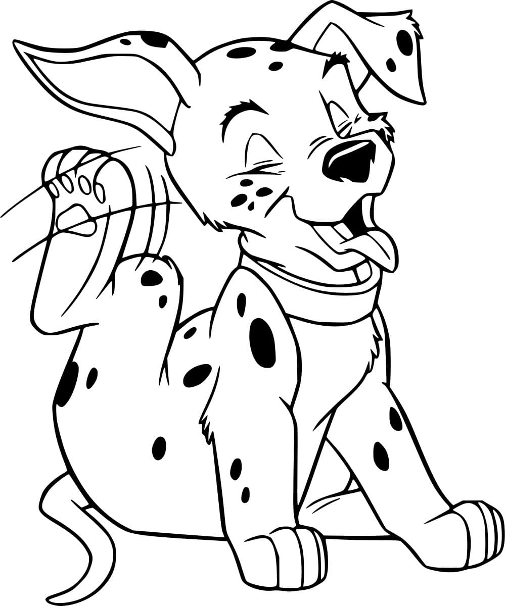 خدش الدلماسي تلوين