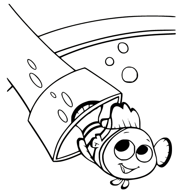 نيمو خارج الأنبوب تلوين