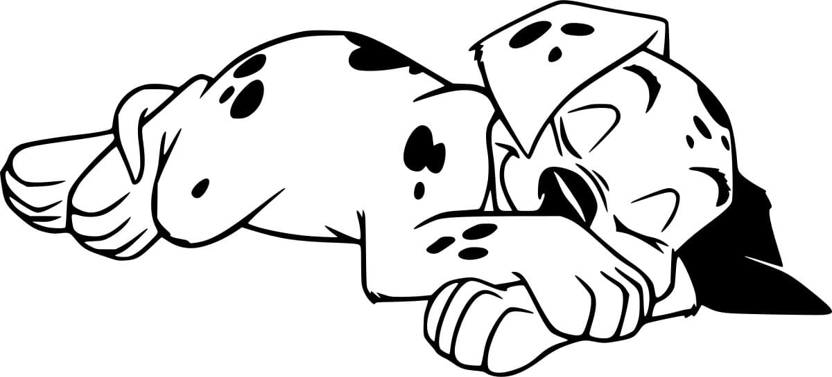 نوم الدلماسي تلوين