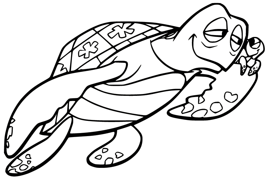 سحق وسلحفاة صغيرة تلوين