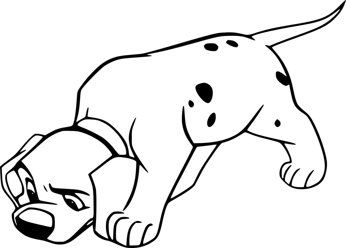 شم الدلماسي تلوين