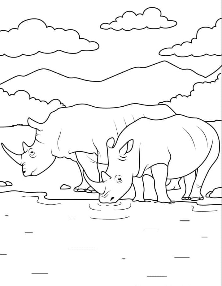 اثنان من وحيد القرن يشربان الماء تلوين