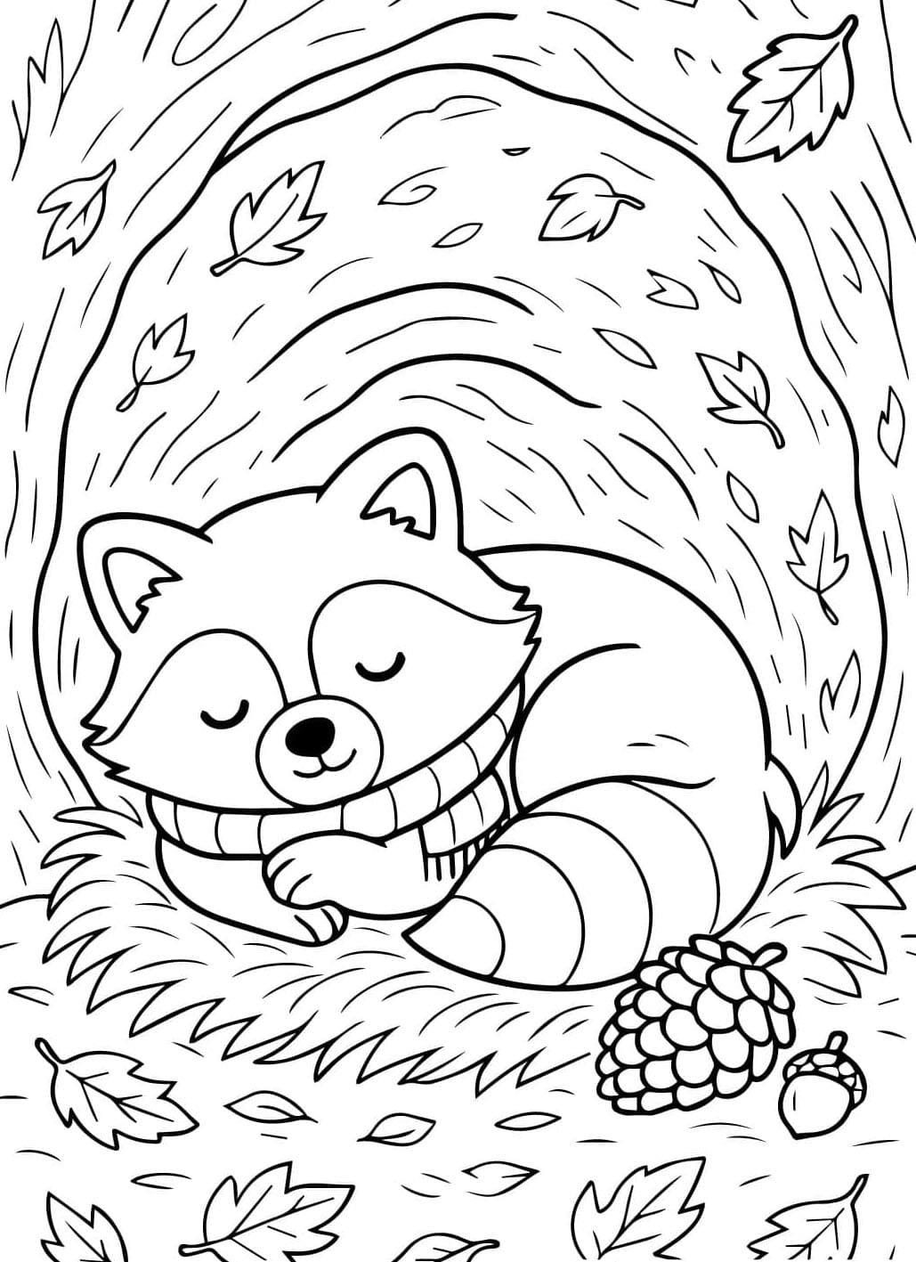 الراكون نائم تلوين