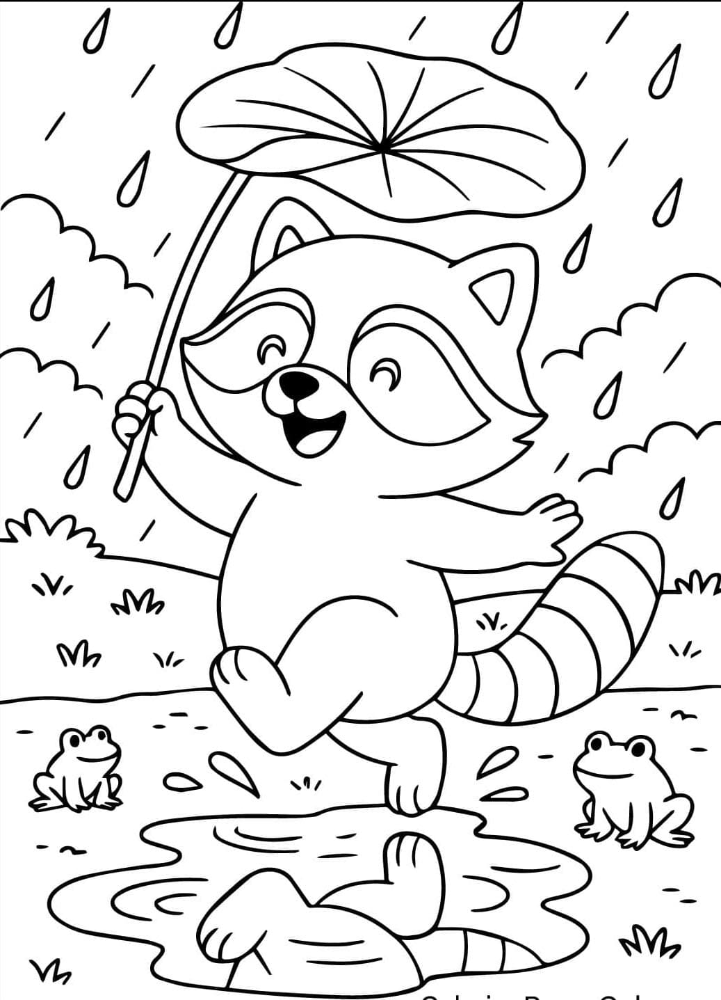 الراكون يلعب تحت المطر تلوين