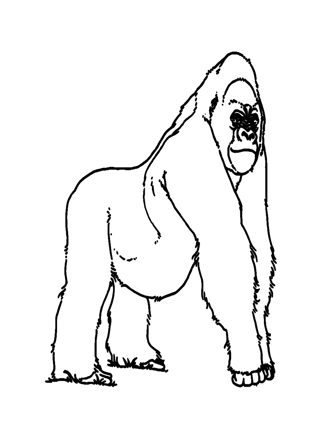 غوريلا بسيطة للأطفال تلوين