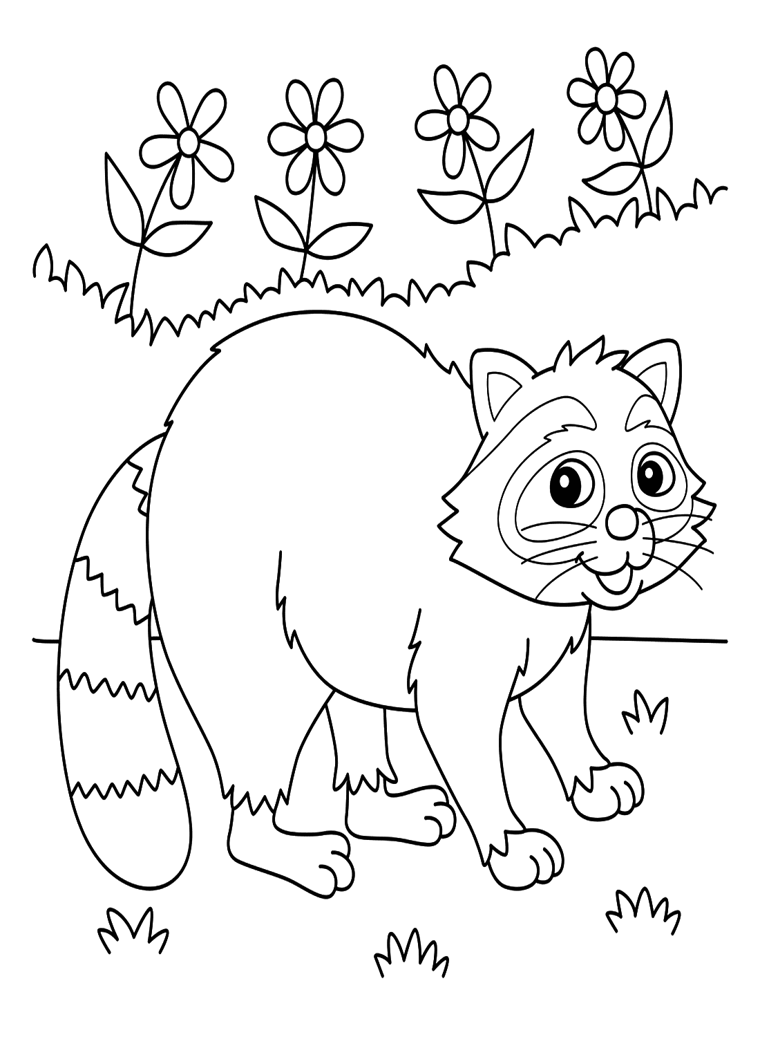 حيوان الراكون تلوين