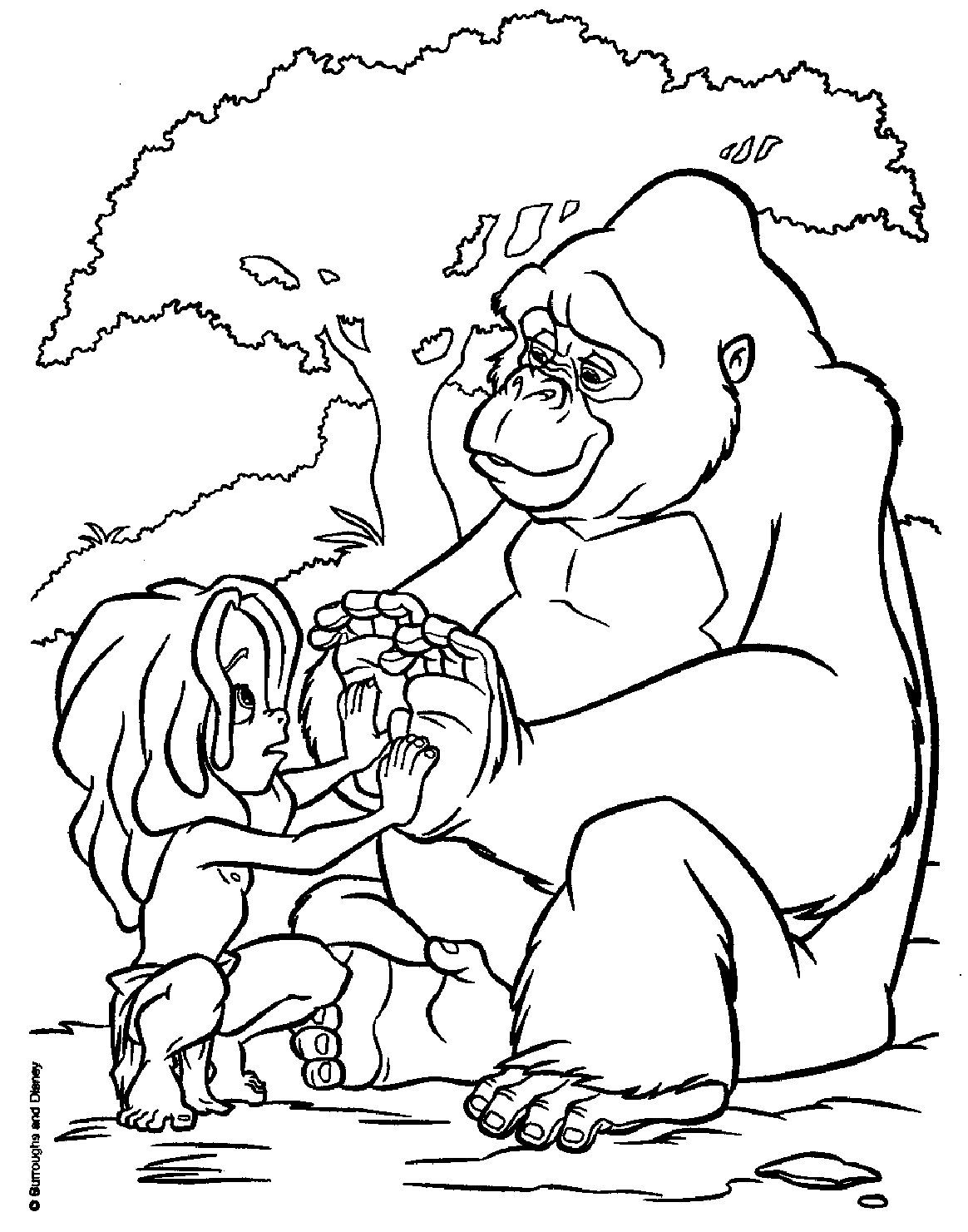 خالية من طرزان وأكالا تلوين