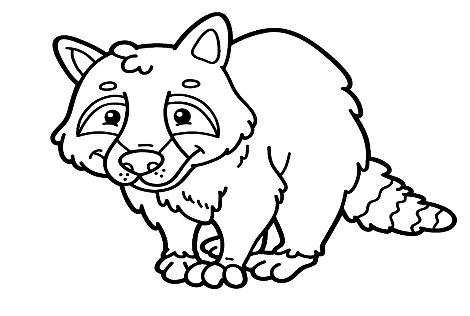 شخصية الراكون تلوين