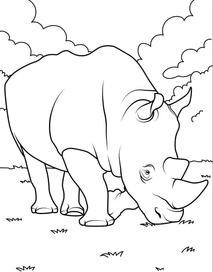 وحيد القرن الأسود تلوين