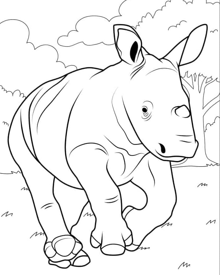 وحيد القرن يركض تلوين