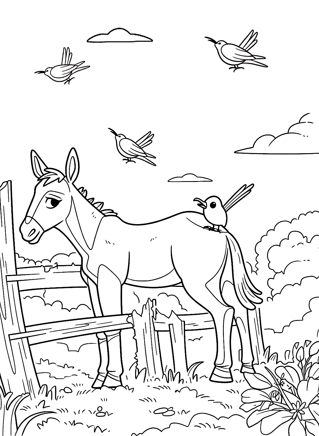 الحمار والطيور تلوين