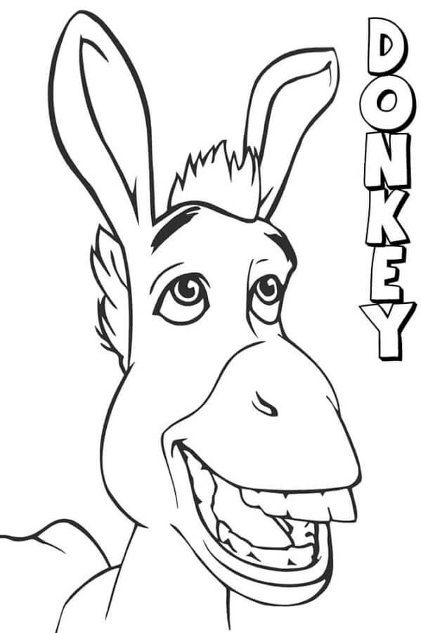صورة حمار تلوين