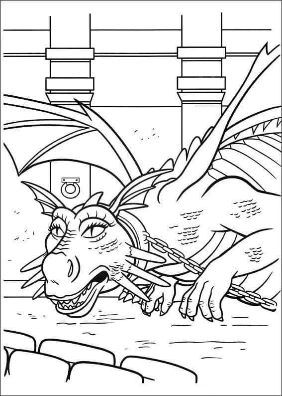 تنين شريك تلوين