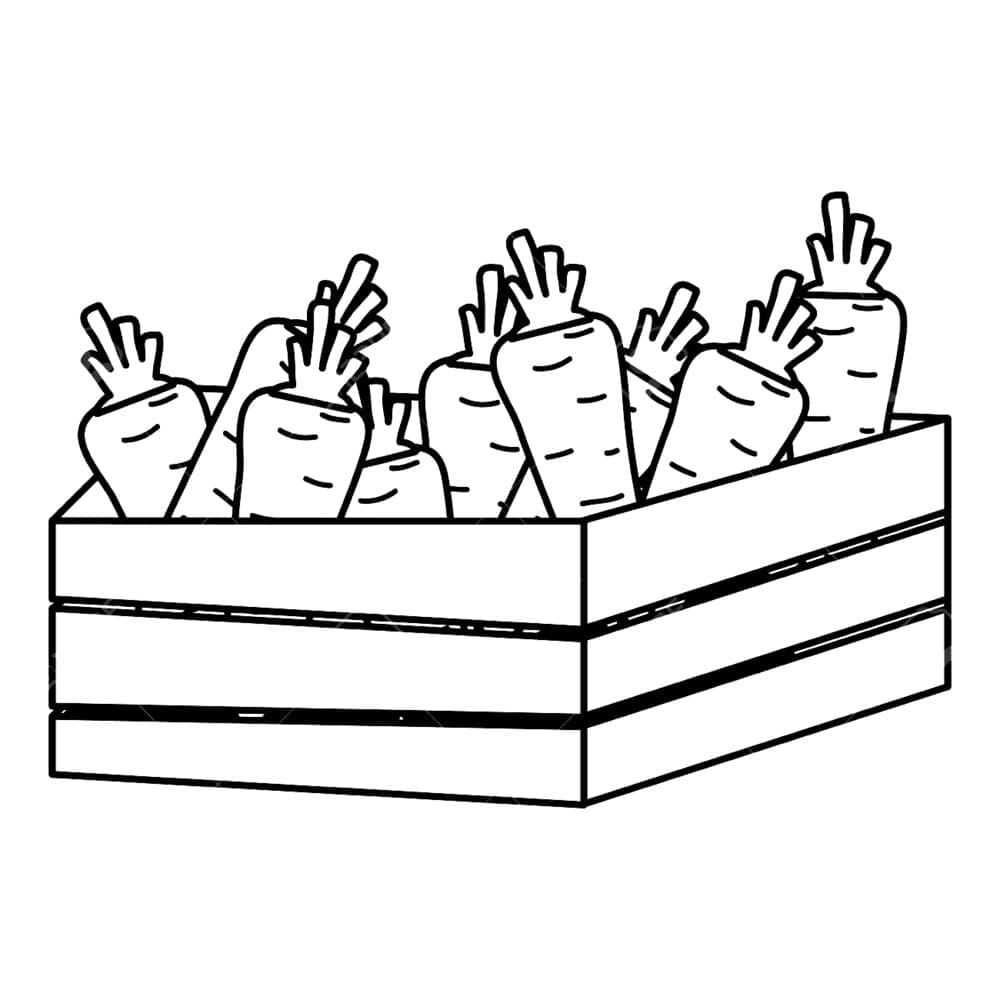 فرع الجزر تلوين