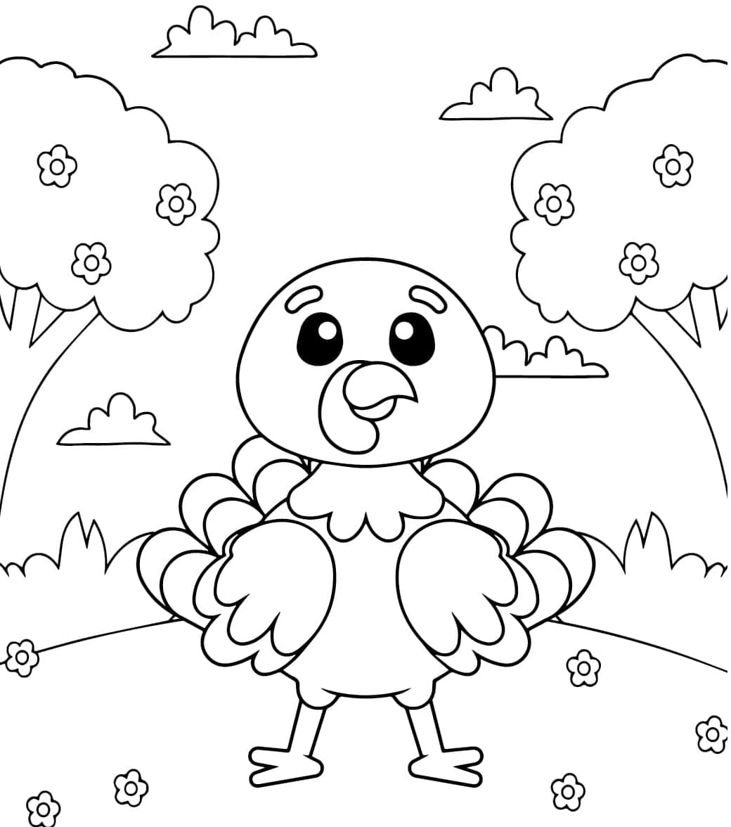 ديك رومي سهل تلوين