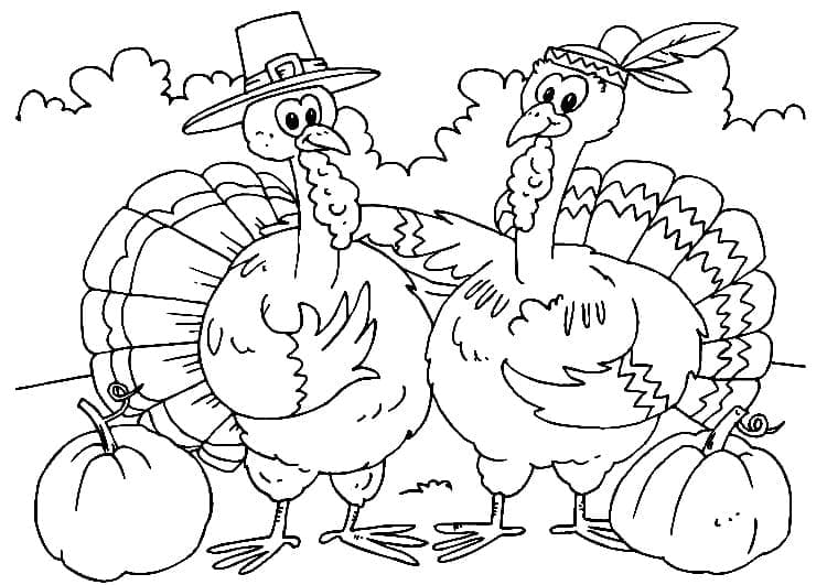 ديك رومي تلوين