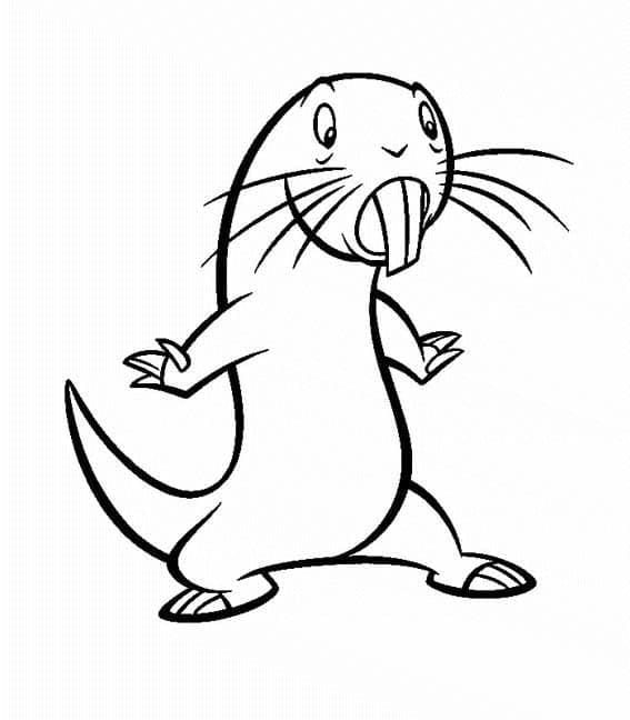 روفوس تلوين