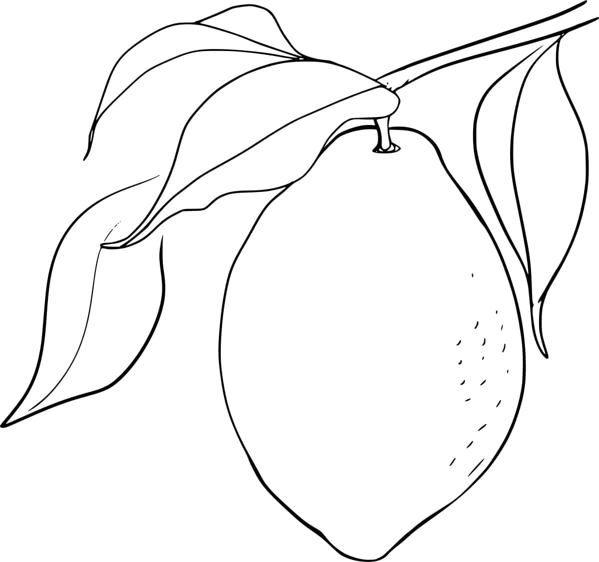 ليمونة على الشجرة تلوين