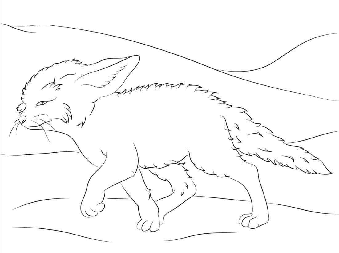 ثعلب الفنك من الصحاري تلوين