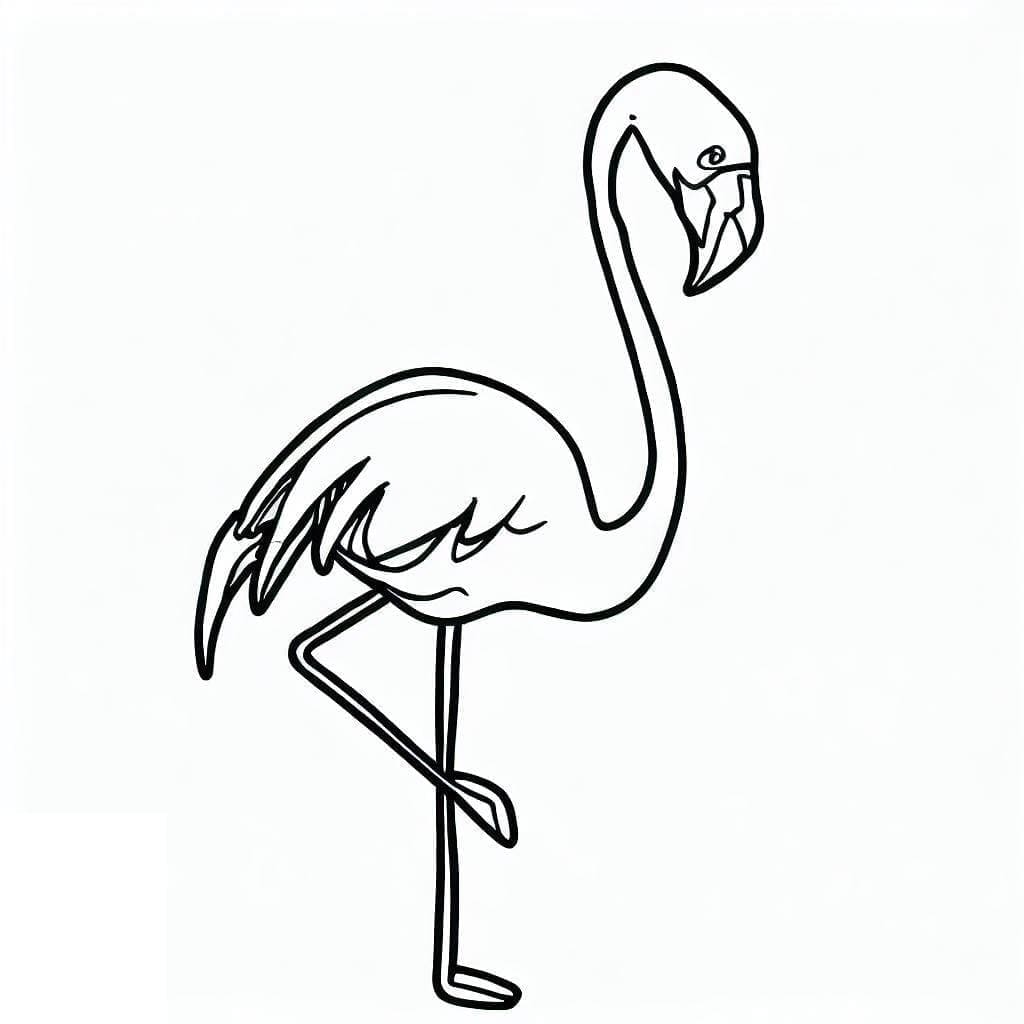 فلامنجو عادي تلوين