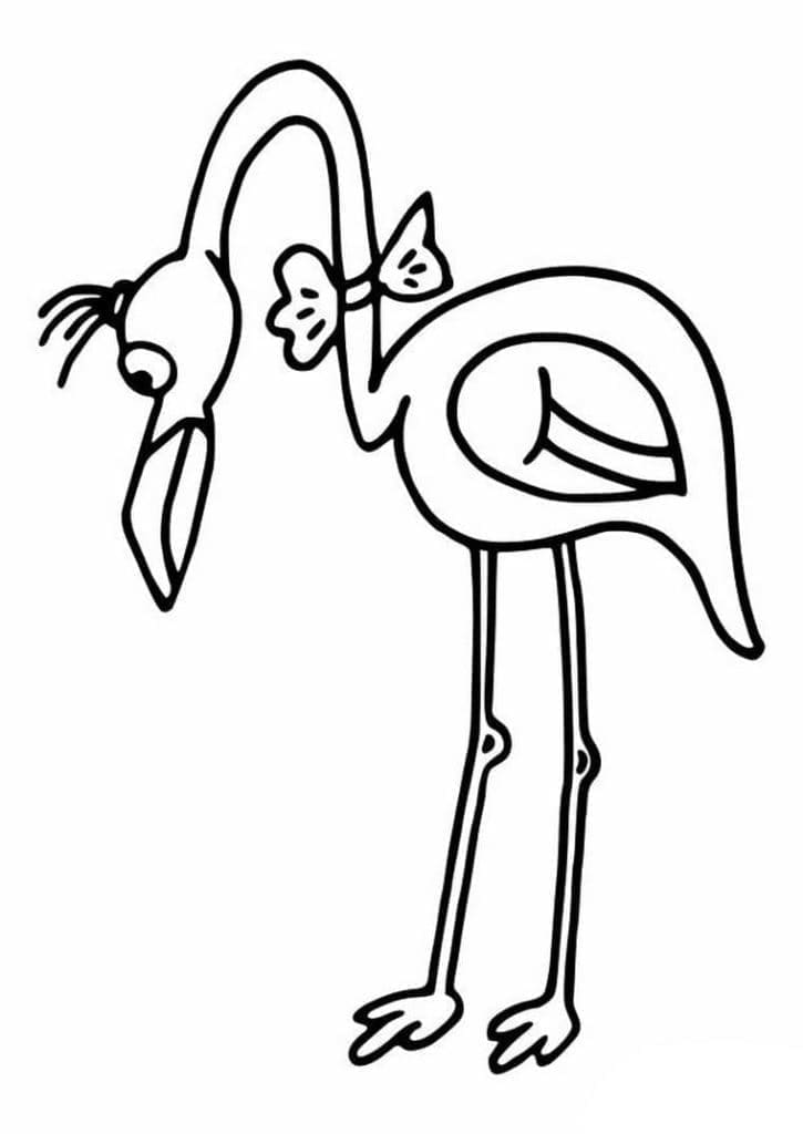 فلامنجو فضولي تلوين