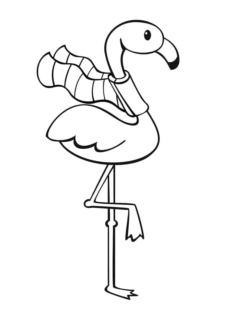 فلامنجو يرتدي وشاحًا تلوين