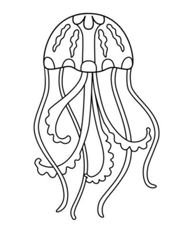 قناديل البحر قابلة للطباعة تلوين