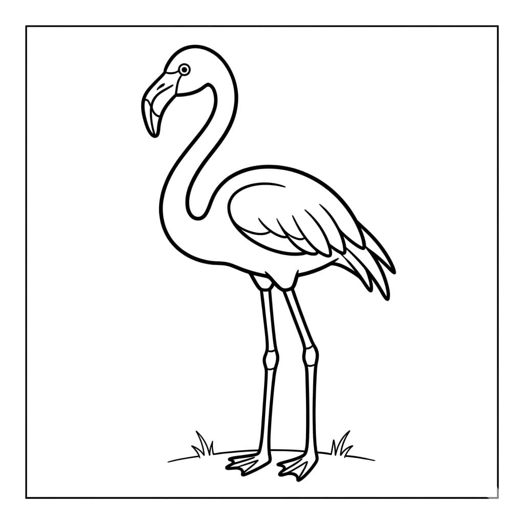 طيور الفلامنجو في الماء تلوين