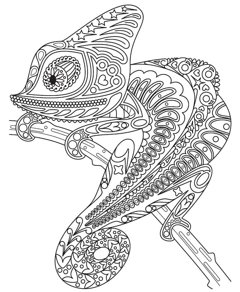 الحرباء الجميلة تلوين