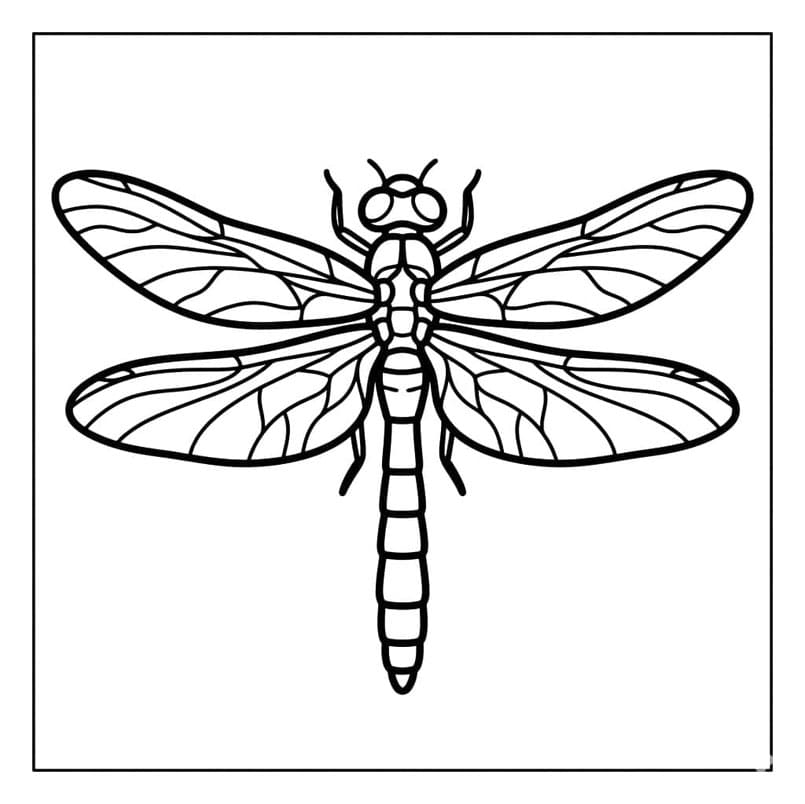 اليعسوب الذهبي الكلاسيكي تلوين