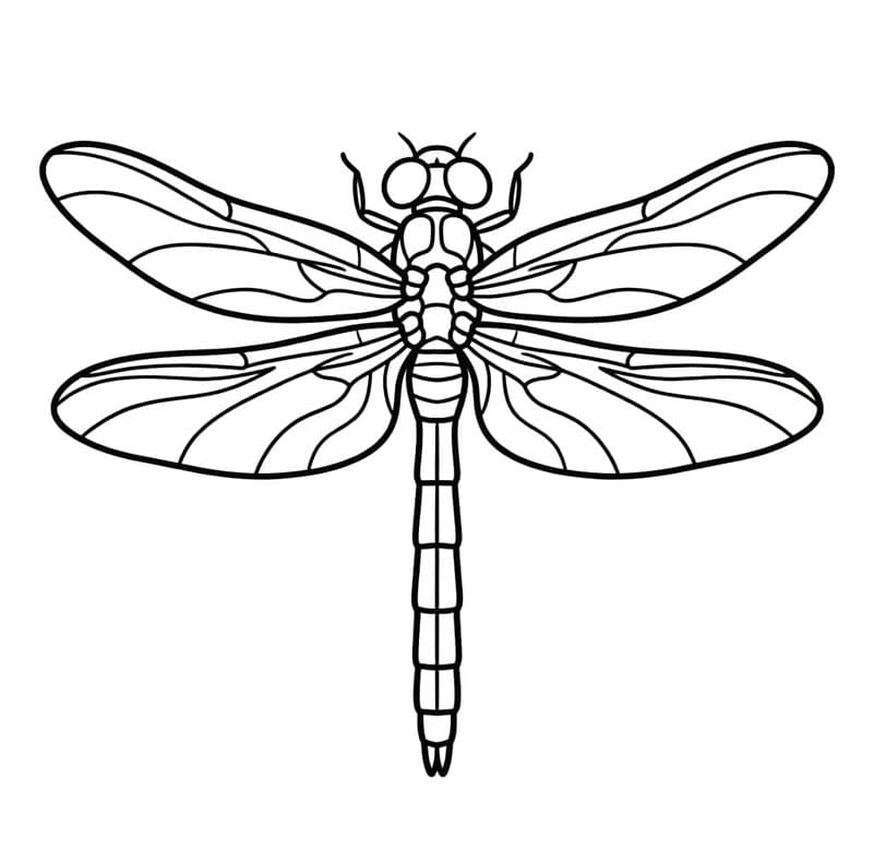 اليعسوب الذهبي الماهر تلوين