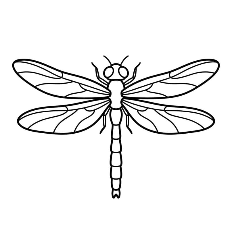 اليعسوب السهل تلوين