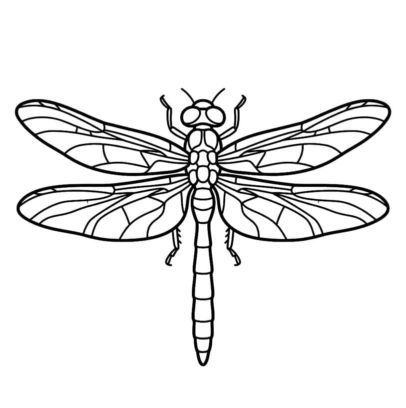 اليعسوب الذهبي الهادئ تلوين