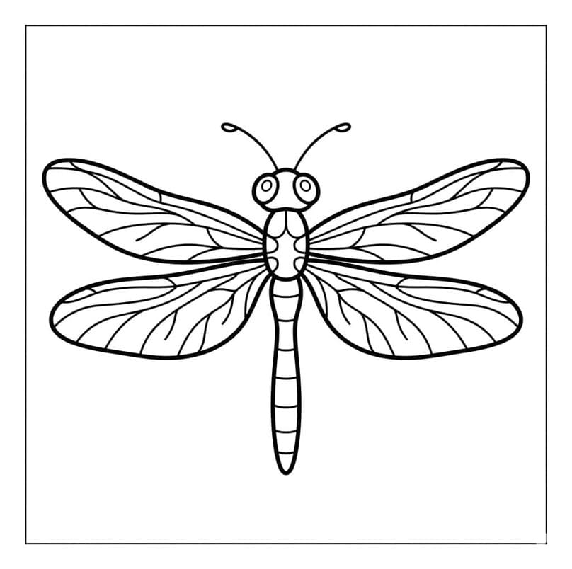 اليعسوب الذهبي الشائع تلوين