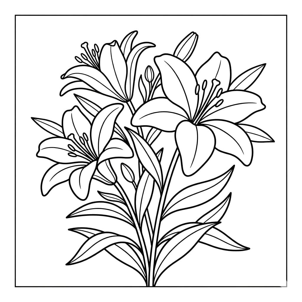 الزنبق المزدهر تلوين