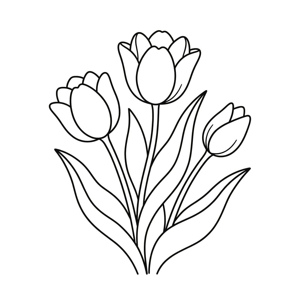 باقة توليب تلوين