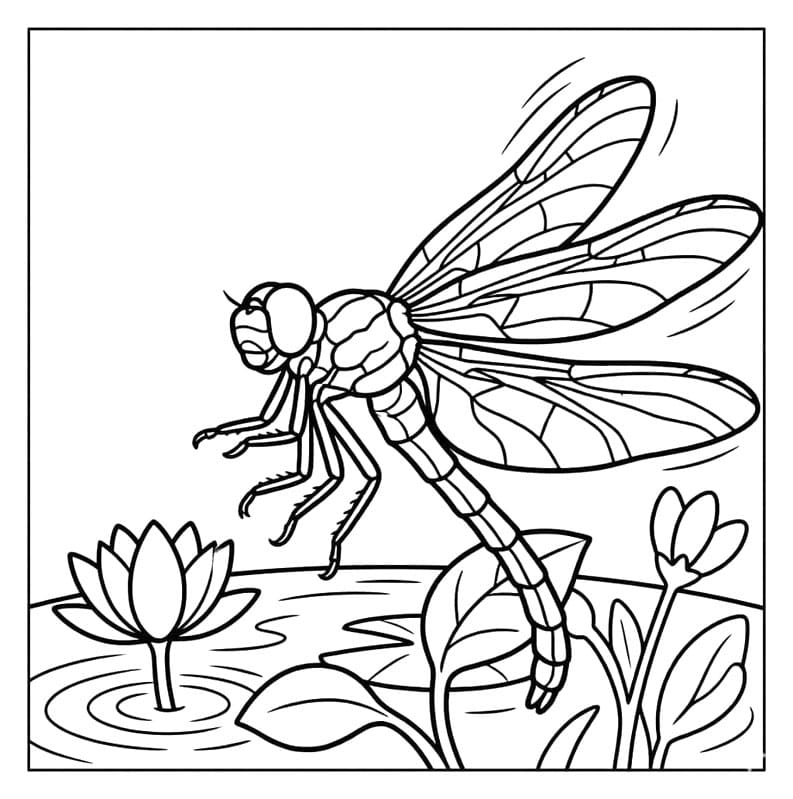 بحيرة اليعسوب تلوين