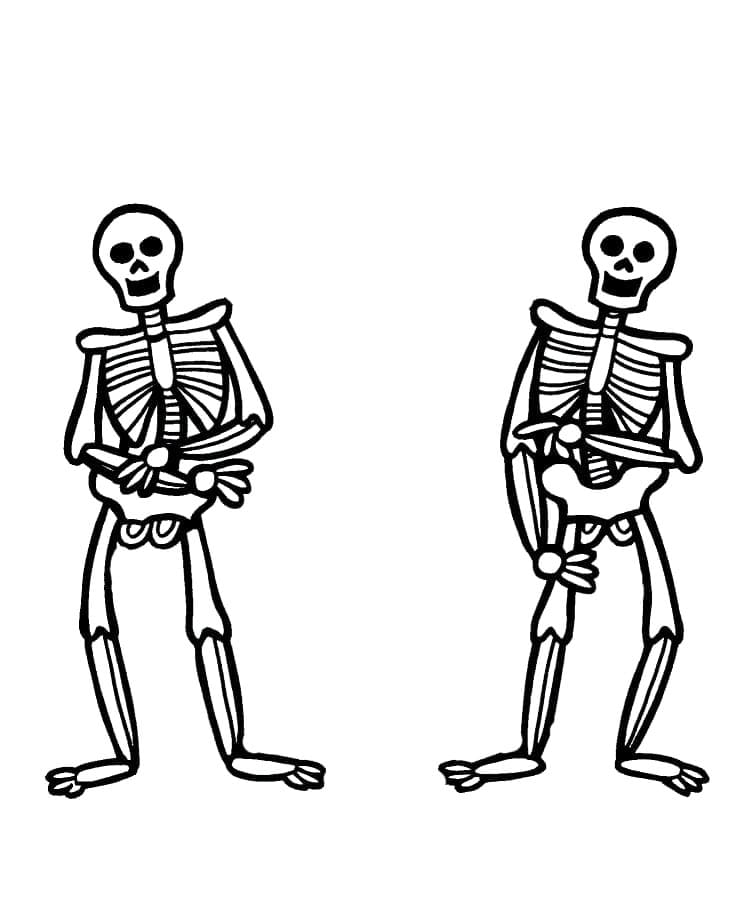 هيكلان عظميان تلوين