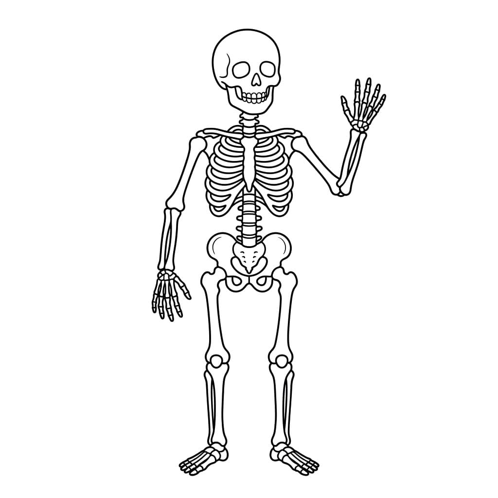 هيكل كلاسيكي تلوين